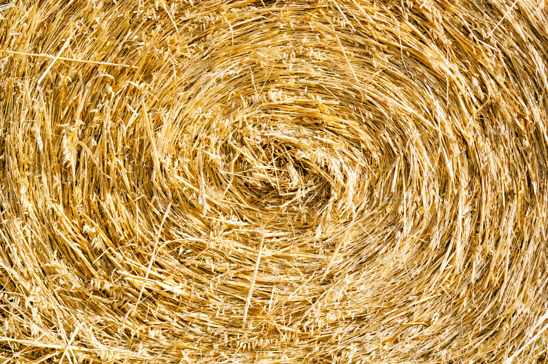 Hay Bale Straw Texture, a Background Photo by THP Creative