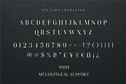 Golde Modern Serif Font, a Serif Font by Dylla_studio (Thumbnail 10 of 10)