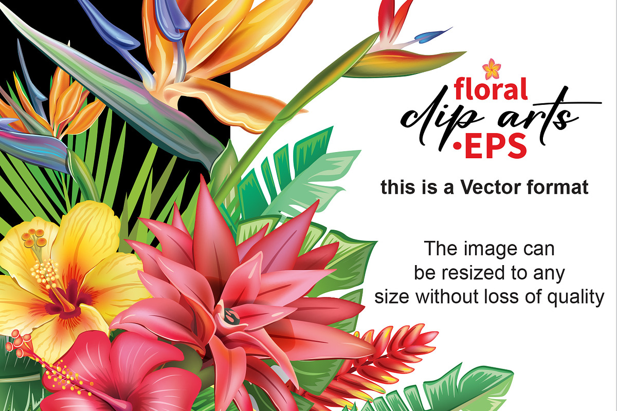 Tropical floral arrangements, a Seasonal Illustration by ViktoriaARTprint (Photo 3 of 8)