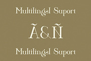 Hitocie Ligature Serif Typeface, a Serif Font by Humaira_std (Thumbnail 10 of 12)