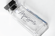 Athenia Signature, a Font by Eltypesstudio (Thumbnail 8 of 10)