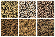 Leopard Print Texture Pattern, a Pattern Graphic by DreamArtGraphic (Thumbnail 2 of 5)