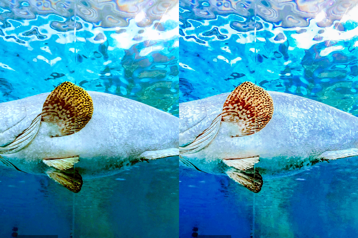 14 Ocean Blue Lightroom Presets, a Preset Add-On by RamsaGraphi (Photo 8 of 10)