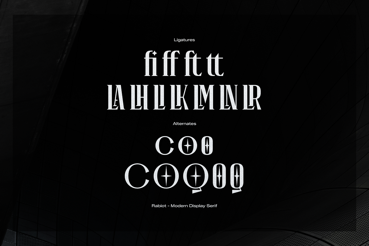 Rabiot | Modern Display Serif, a Sans Serif Font by gracetype_studio (Photo 12 of 12)