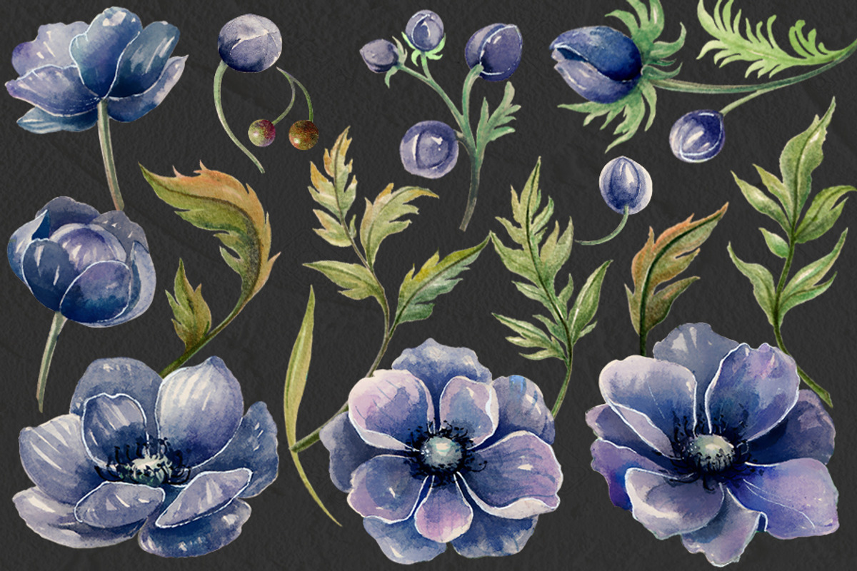 BLUE ANEMONE, a Graphic by AJDA ART (Photo 3 of 4)