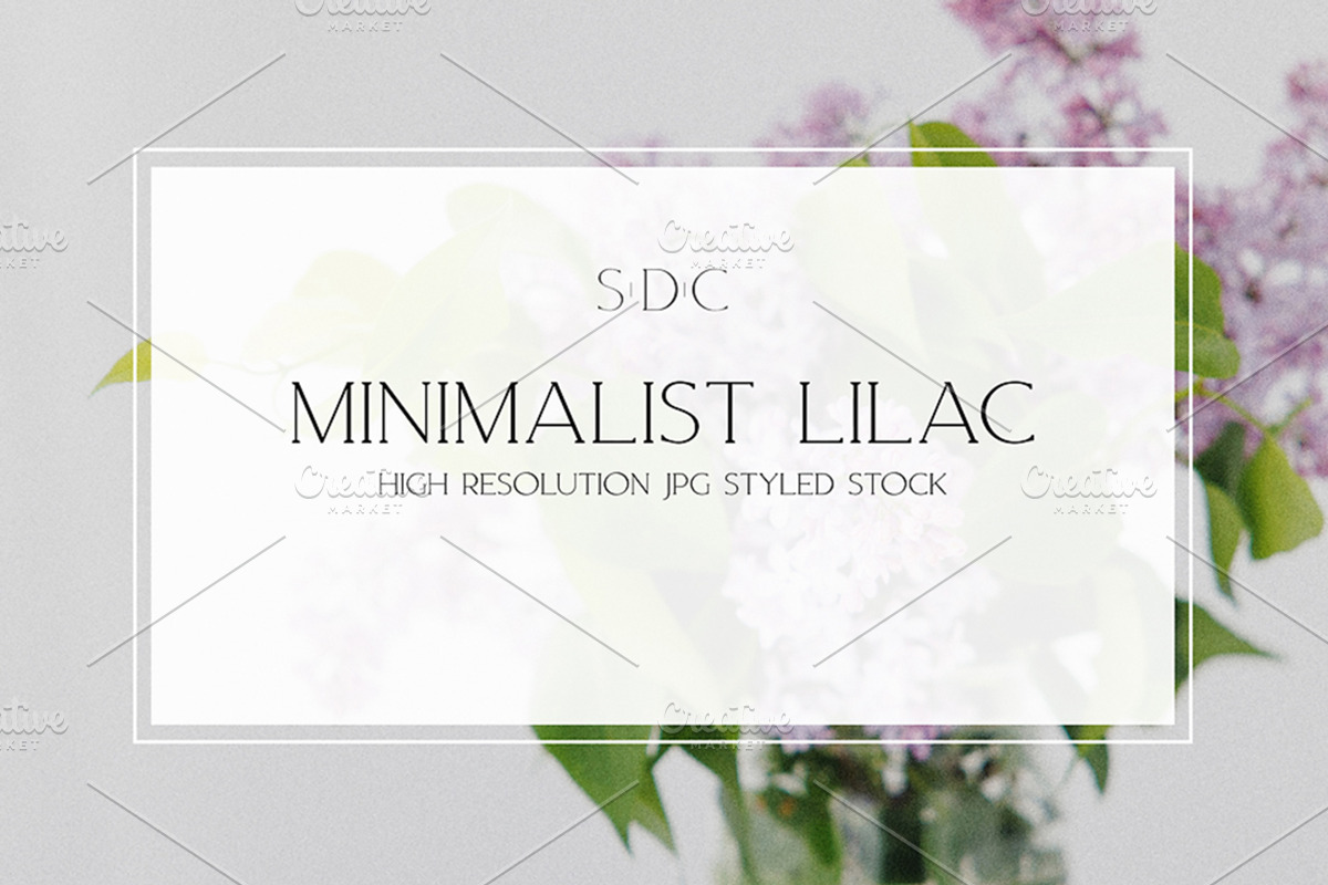 Minimalist Lilac Styled Stock, a Nature Photo by Susie Design Co (Photo 1 of 3)