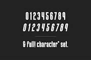 Evolve Sans Serif Display Type, a Font by Kelsey Benedict Design (Thumbnail 8 of 9)