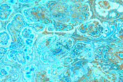 20 turquoise textures 64 Megapixel, a Texture Graphic by tkdesign (Thumbnail 8 of 20)