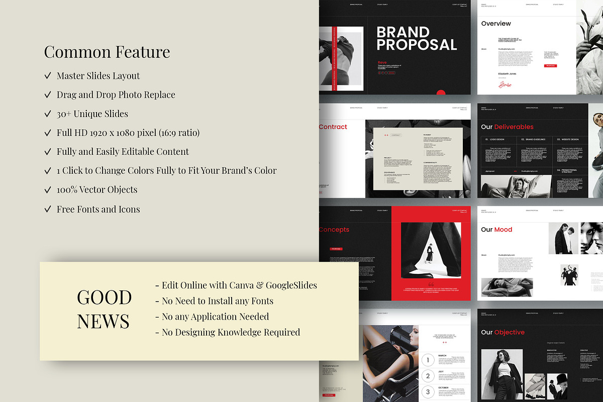 Reve Brand Proposal Template, a Presentation Template by Studio Temply (Photo 4 of 11)