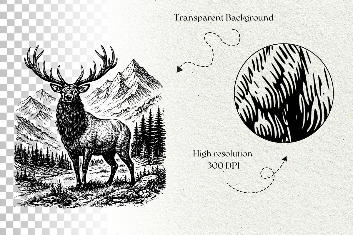 Elk Scenes SVG Graphics, an Animal Illustration by DENIDigitalArtSudio (Photo 6 of 6)