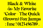 ED Fortrose - Serif Typeface, a Serif Font by Emyself Design (Thumbnail 2 of 10)