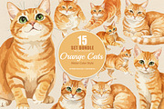 15 Bundle Watercolor Orange Cats Pet, an Animal Illustration by Morspective (Thumbnail 1 of 8)