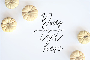 Fall pumpkin flat lay photo stock photo containing fall flat lay and fall