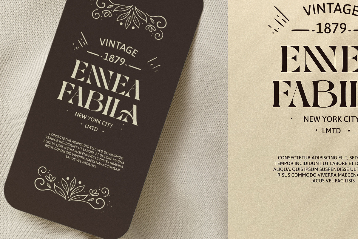 KOLAK-modern vintage, a Serif Font by ToniStudio (Photo 5 of 6)