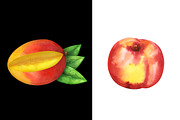 Watercolor set fruits and berries, a Food Illustration by Color_Brush (Thumbnail 6 of 12)