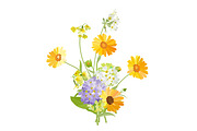 Vector object brushes. Primula., a Brush Add-On by Peolla (Thumbnail 16 of 17)