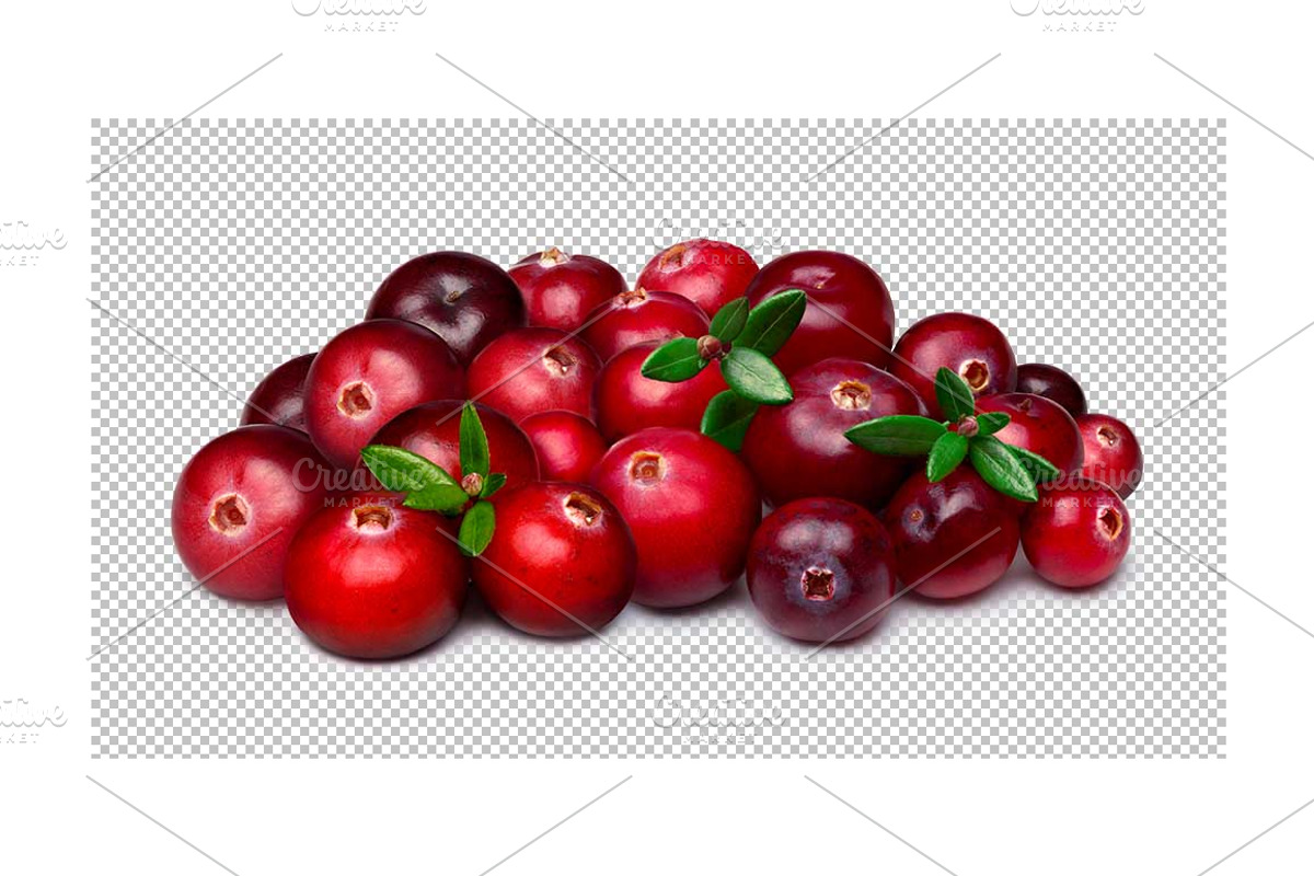 Cranberries, a Mockup by Hortimages (Photo 3 of 3)