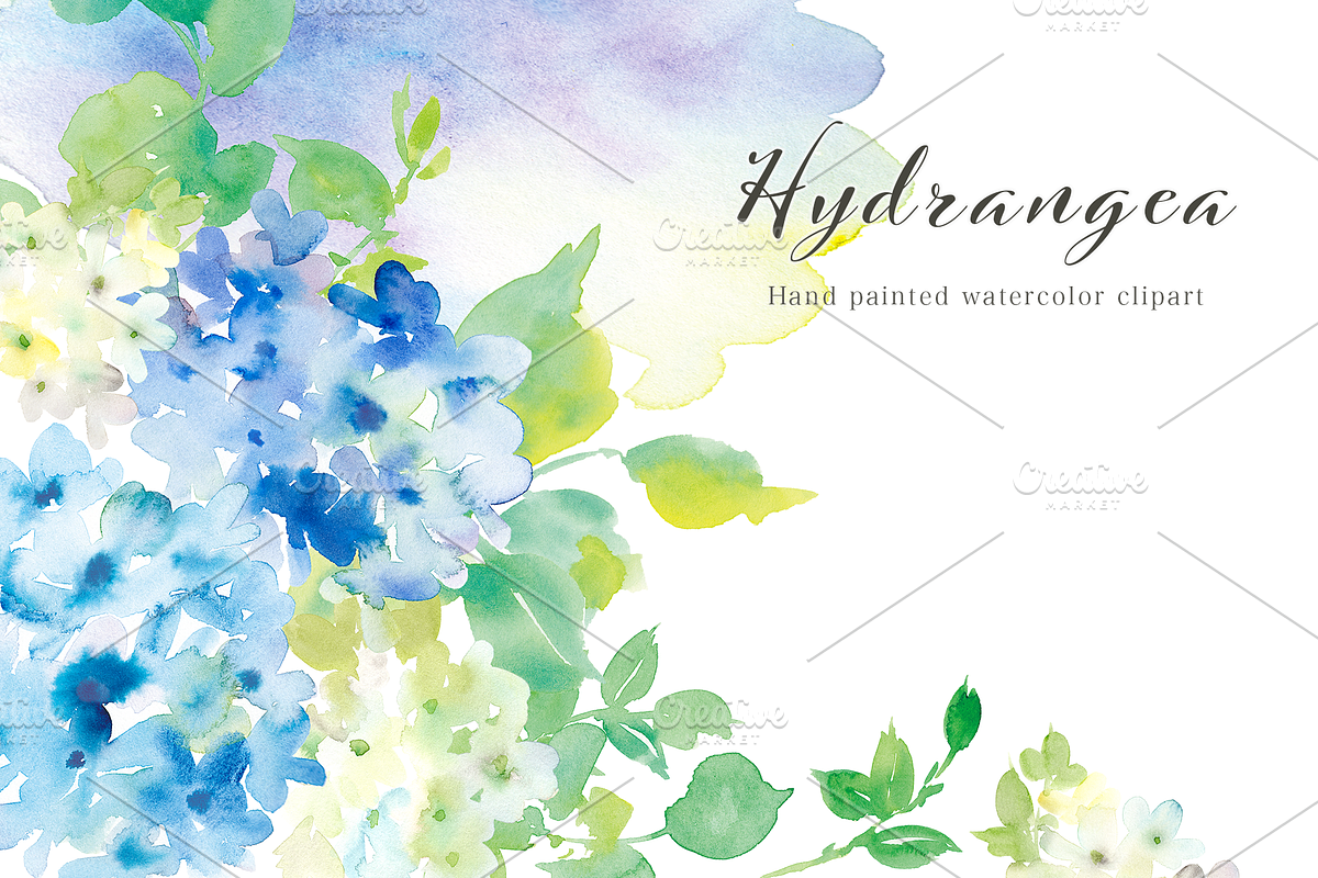 Hydrangea watercolor clipart set, an Illustration by Sawango Designs (Photo 2 of 4)