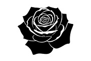 50 Black Rose Silhouette Vector Bund, an Illustration by Gaye Art (Thumbnail 17 of 51)