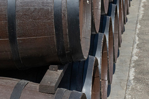 Oak barrels stand in two rows, a Food & Drink Photo by Schreibikus