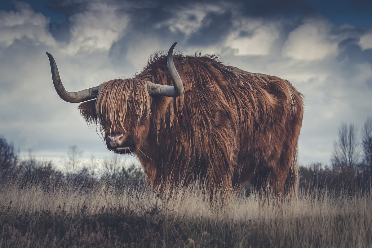 300 Professional Lightroom Presets, an Action Add-On by Madison Colt Studios (Photo 26 of 29)