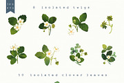 Blossom Wild Strawberry & Clover., an Illustration by Olga Bonitas (Thumbnail 2 of 9)