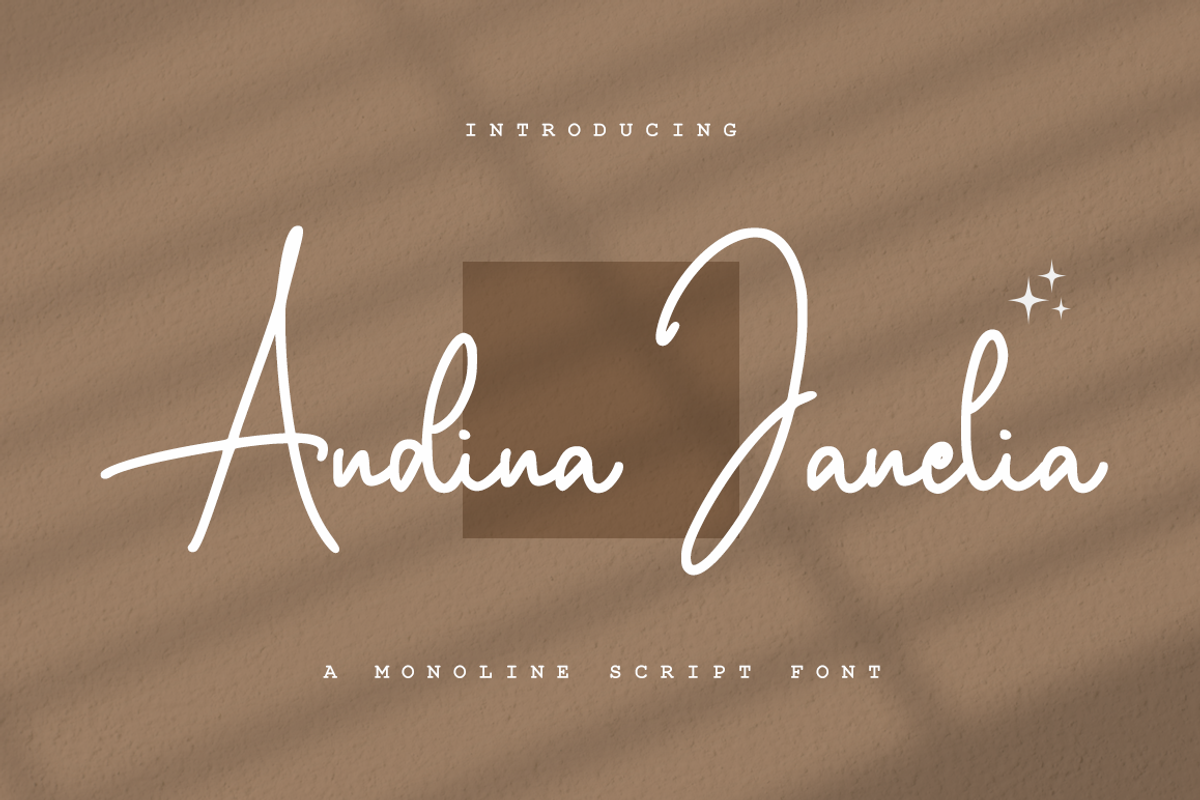 Andina Janelia - Signature Font, a Script Font by RockboyStd (Photo 1 of 12)