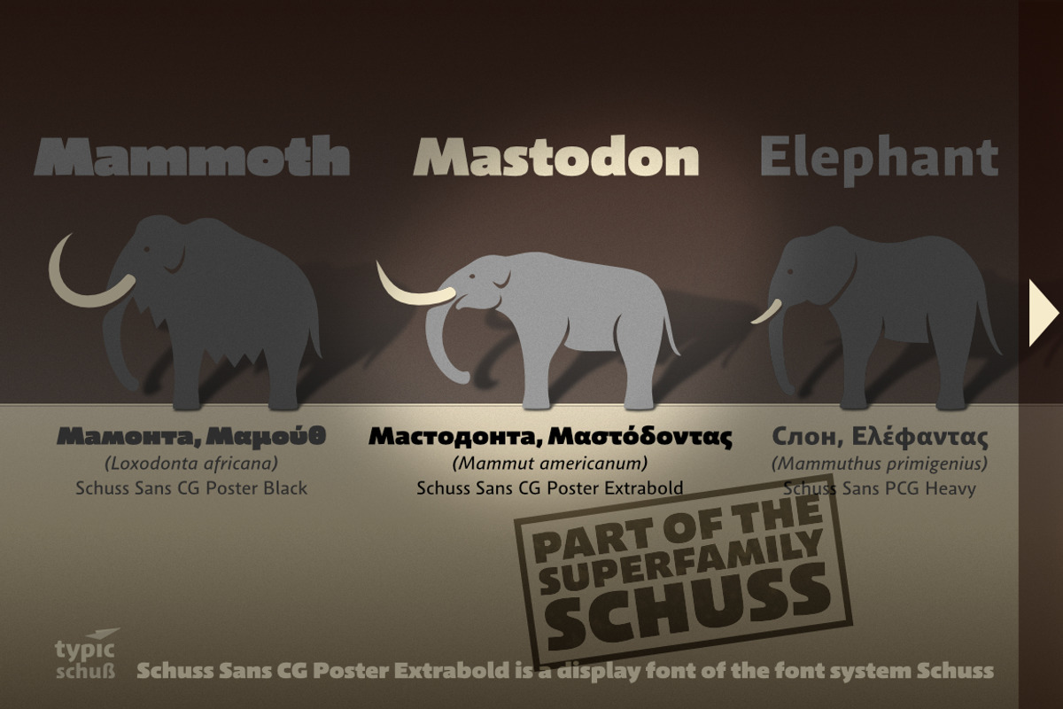 Schuss Sans CG Poster Extrabold preview 8