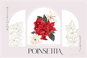 Poinsettia. Christmas Flower, an Object Illustration by ma_i_vi (Thumbnail 1 of 10)