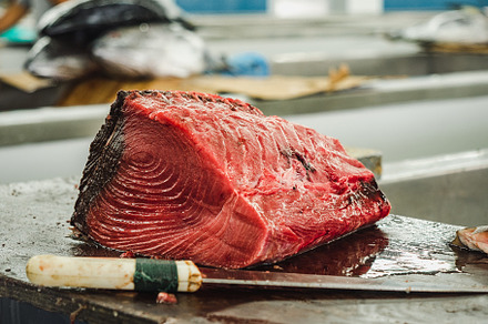 Fresh fish at the fish market close stock photo containing fish and seafood, a Food & Drink Photo by Svetlana Barchan