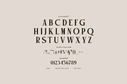 Milkin Elegant Serif Font, a Serif Font by Graphicxell (Thumbnail 7 of 8)