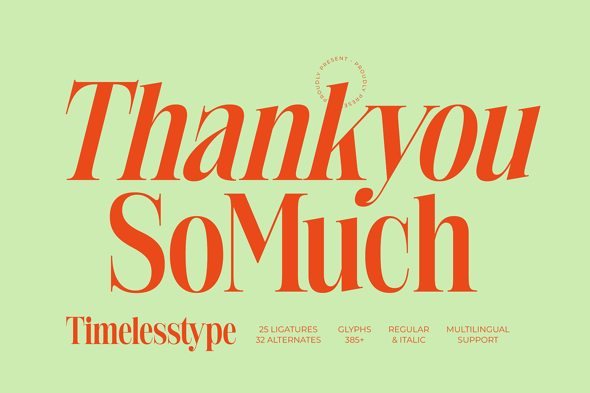 Delivery Feedback Modern Serif, a Serif Font by timelesstype.co (Photo 20 of 20)