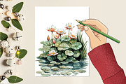 Lily Flower Watercolor Cliparts, an Illustration by RobertsArt (Thumbnail 4 of 7)