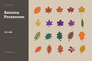 100 Hand-Cut Botanical Shapes, a Seasonal Illustration by designvectx (Thumbnail 7 of 8)
