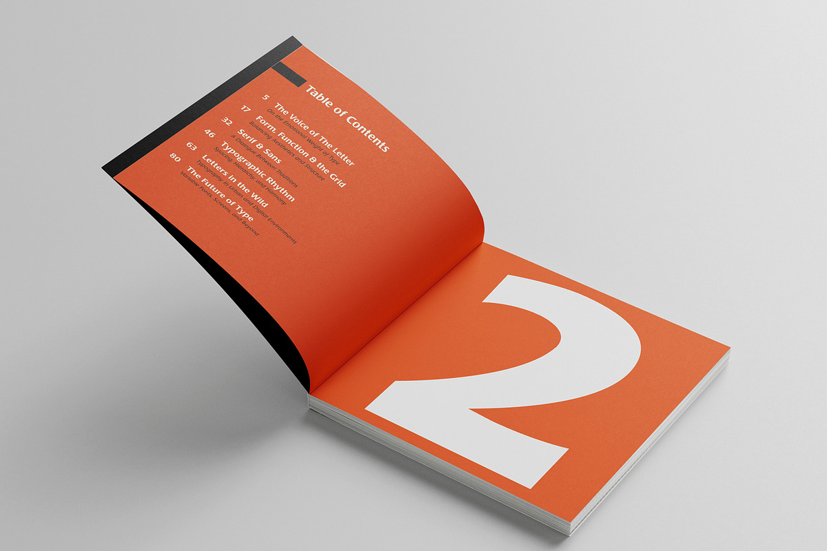 Pontia Sans Font Family, a Sans Serif Font by Bart Wesolek (Photo 4 of 11)