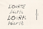 Liberte Hand Painted Font, a Handwritten Font by Madeline ODonoghue Design (Thumbnail 7 of 11)