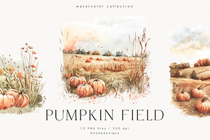 Pumpkin Field