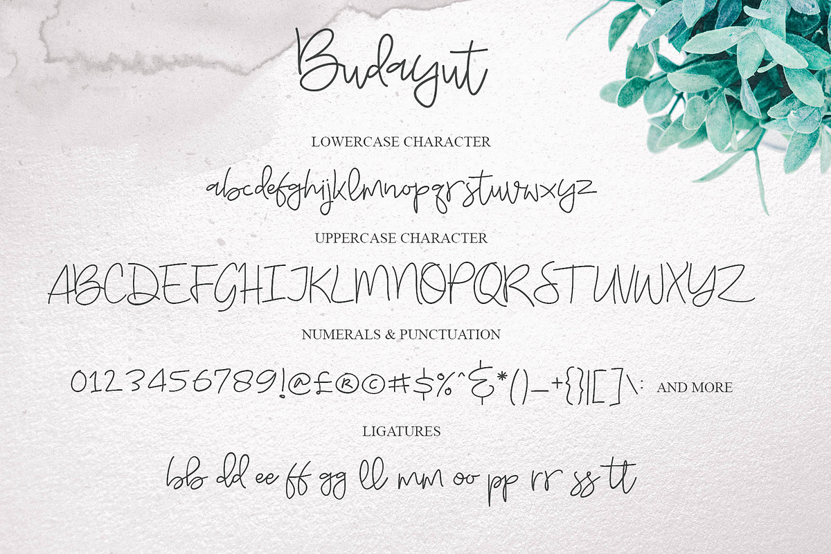 Budayut Signature Font preview 8
