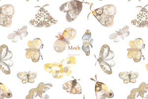 Moth. Art And Patterns