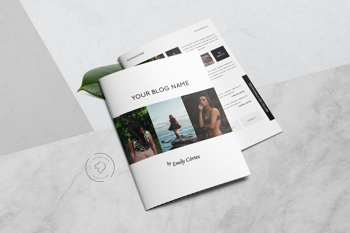 Media Kit Template - 4 Pages, a Resume Template by Leo Resume (Photo 5 of 7)