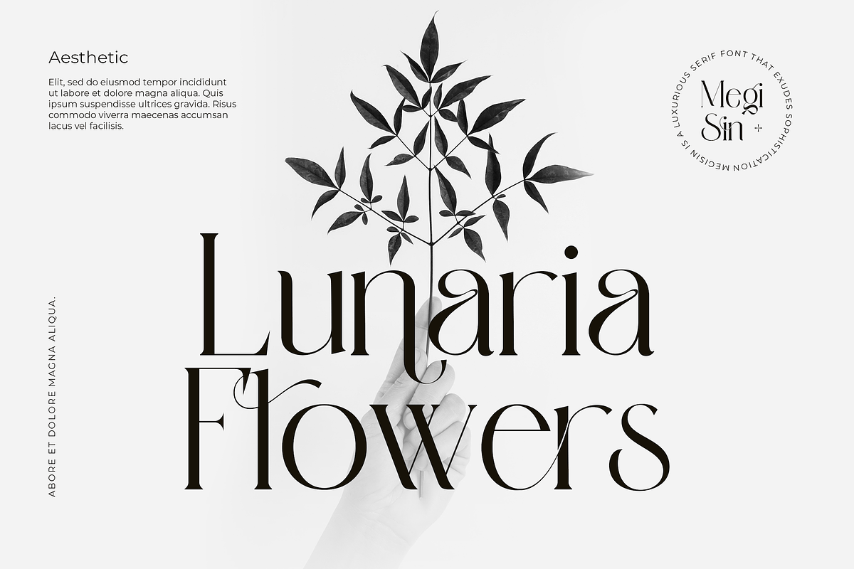 Megisin - Elegant Display Serif Font, a Serif Font by PuriCreative (Photo 4 of 10)