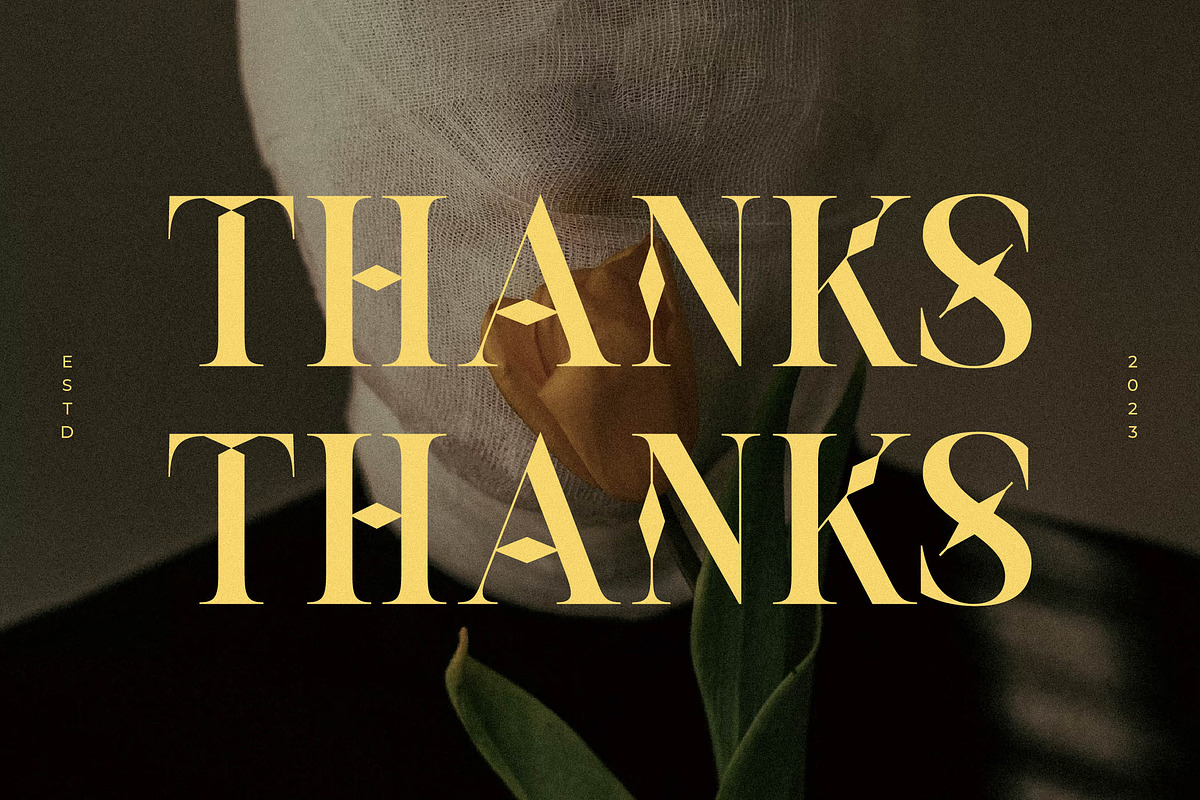 Moskice New Modern Display Font, a Serif Font by Storytype Studio (Photo 15 of 15)