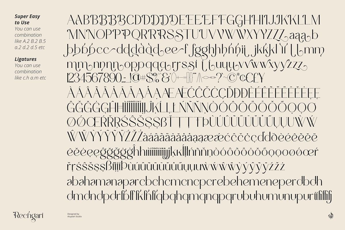 Rechgart, a Serif Font by Aluyeah Studio (Photo 15 of 15)