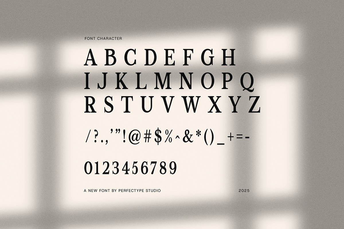 Moncky Modern Serif Font, a Serif Font by Perfectype (Photo 8 of 8)