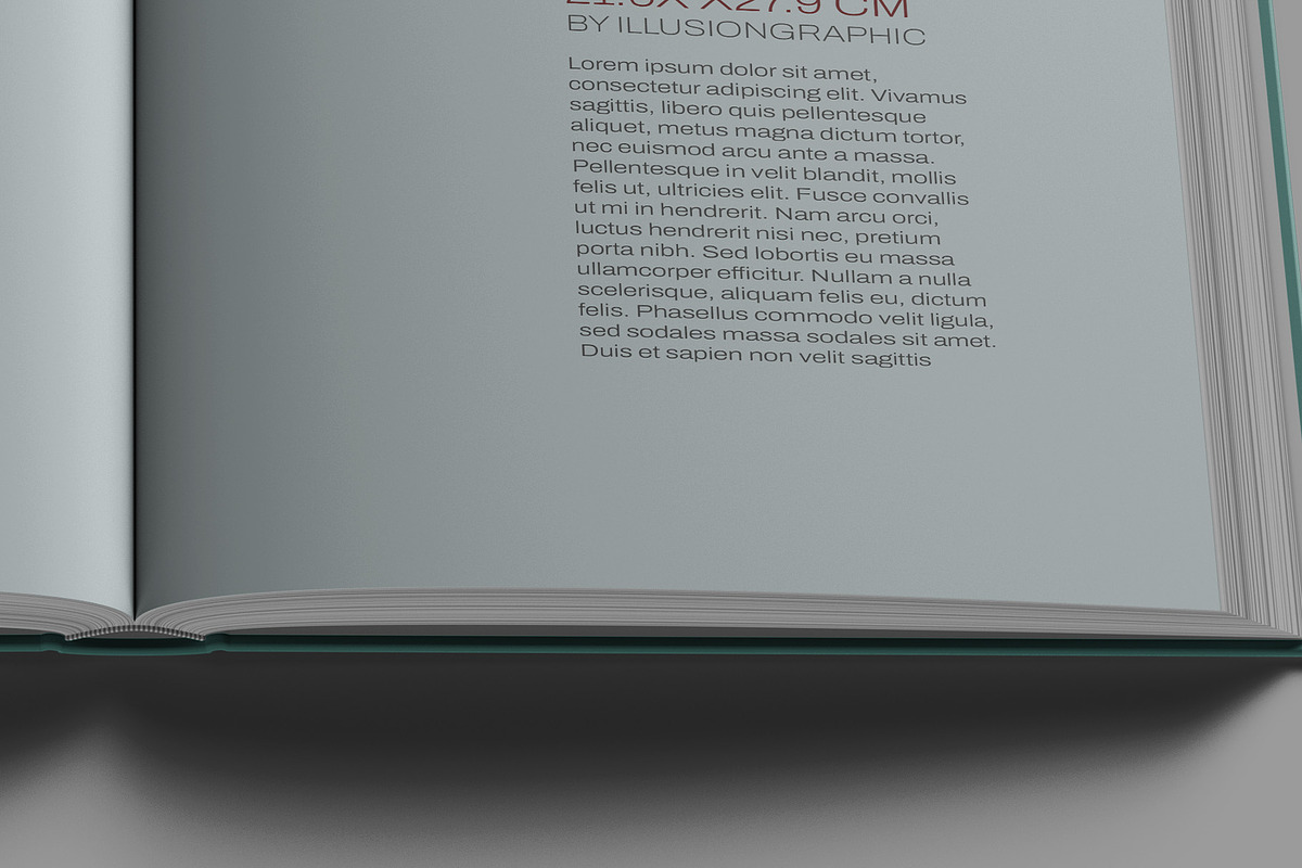 Letter Size Book Mockup - 8 views, a Books & Magazine Mockup by Illusiongraphic (Photo 20 of 24)