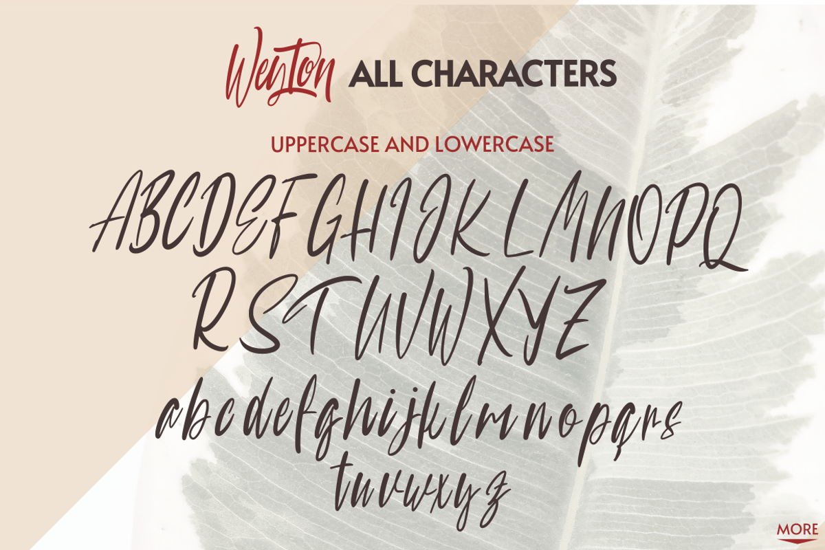 Weyton Script, a Script Font by Inspiratype (Photo 5 of 5)