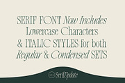 New Icon Font Duo (Updated!), a Script Font by Sam Parrett (Thumbnail 13 of 16)
