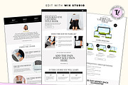 Minimal Aesthetic Landing Sales Page, a Wix Template by Template Twist Shop (Thumbnail 2 of 10)