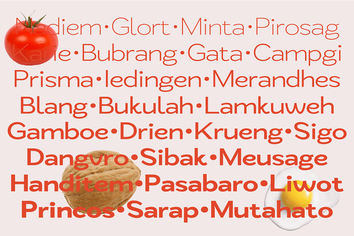 ZT Nezto | Sans Serif, a Sans Serif Font by zelow type (Photo 2 of 15)