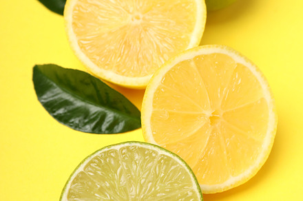 Concept of tasty food with citrus fruits on yellow background, a Food & Drink Photo by AtlasStudio PRO